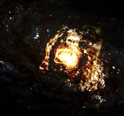 Scream to the Night in the Endless Universe